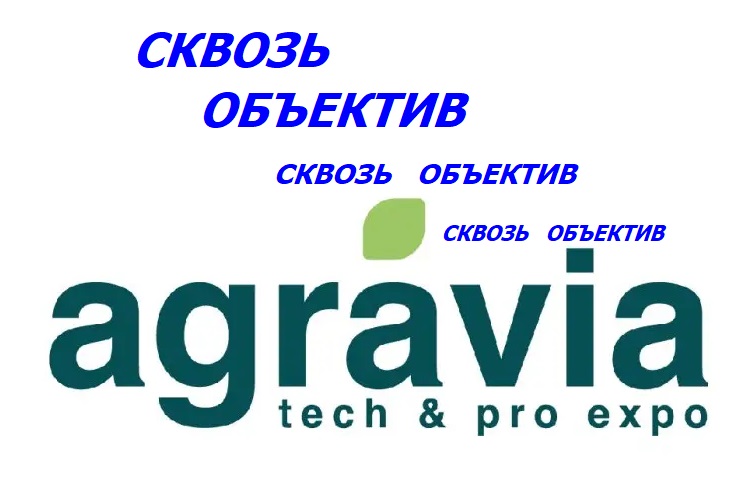 Сквозь объектив 