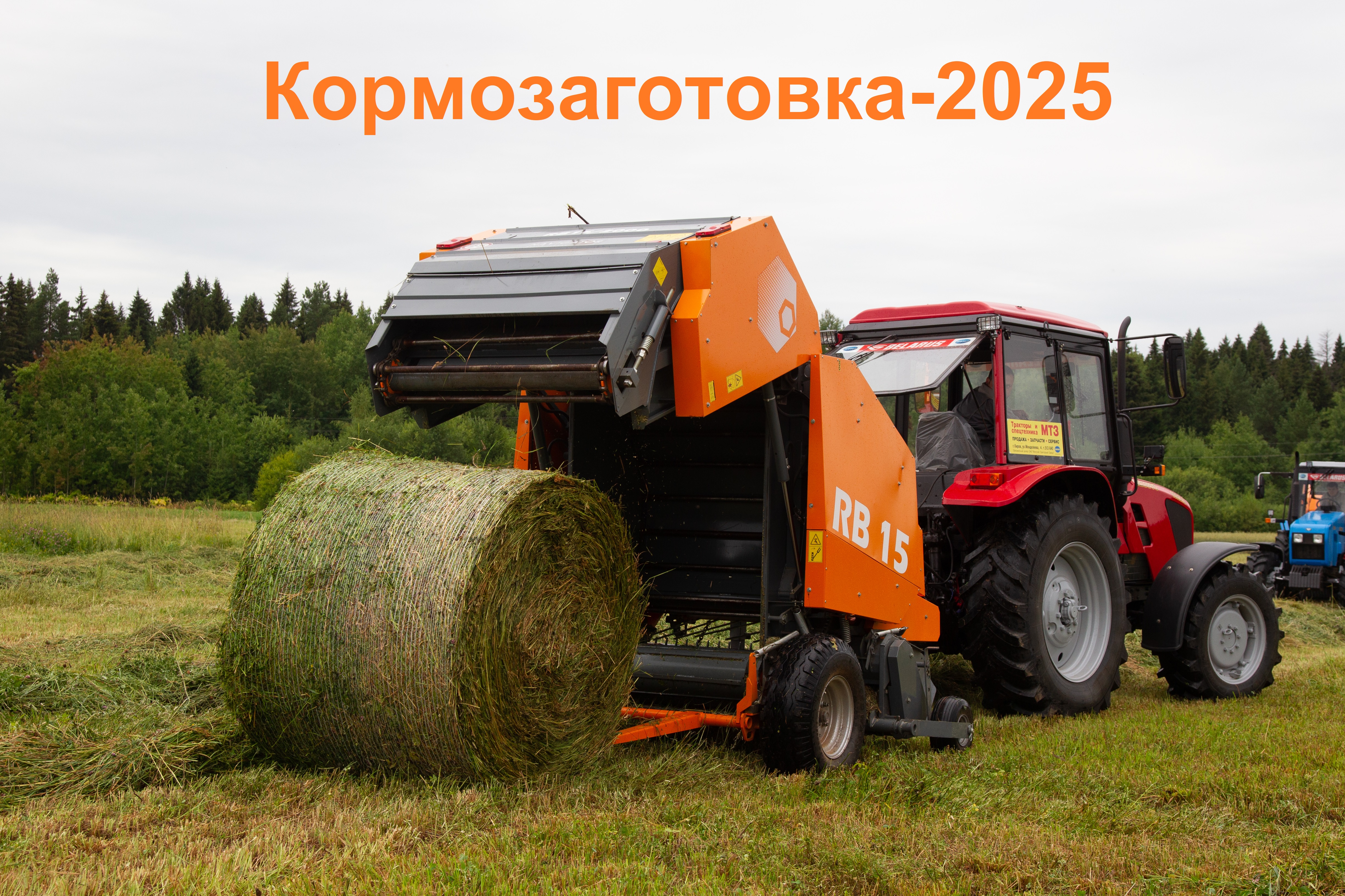 График работы компании 31.05.2025