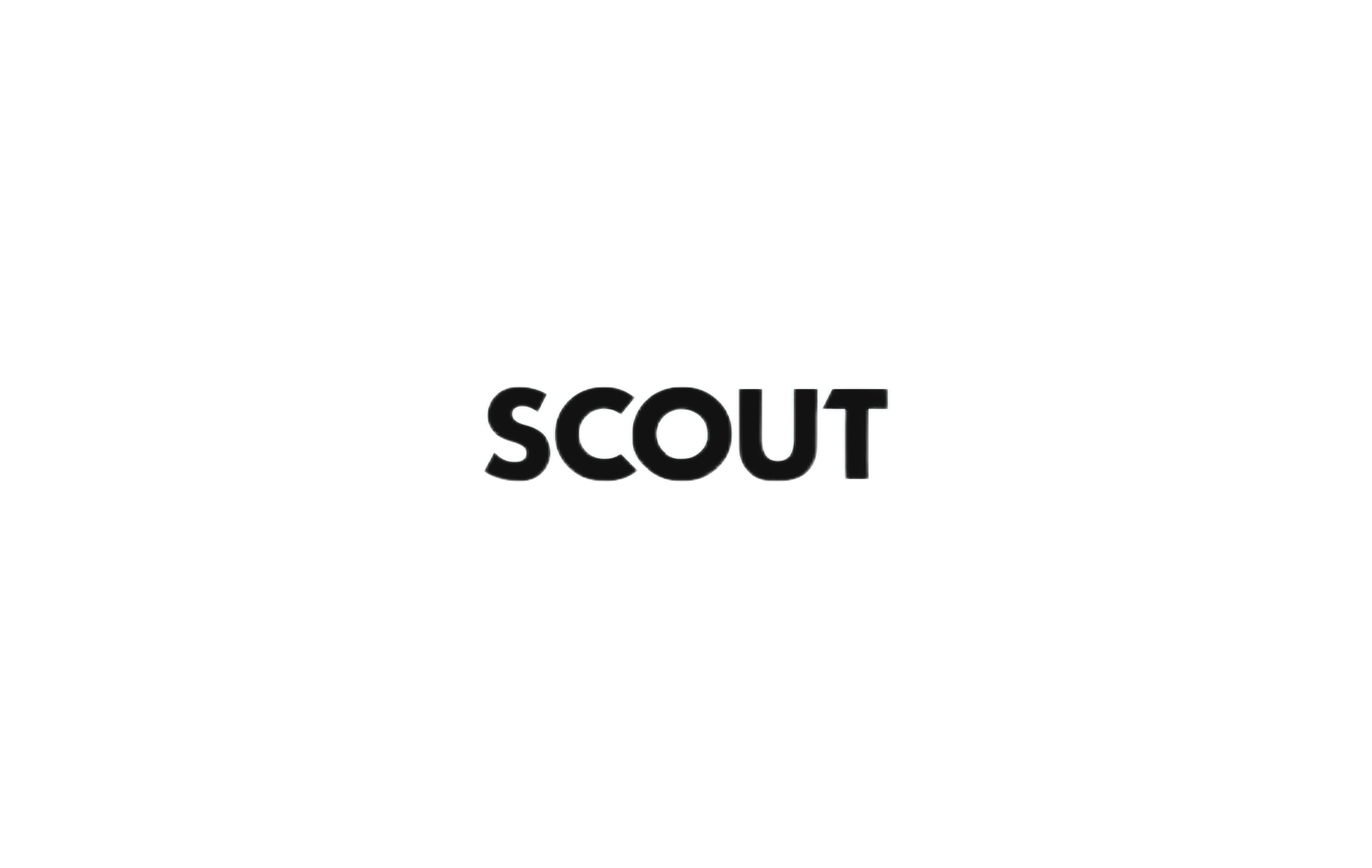 Компания "SCOUT"