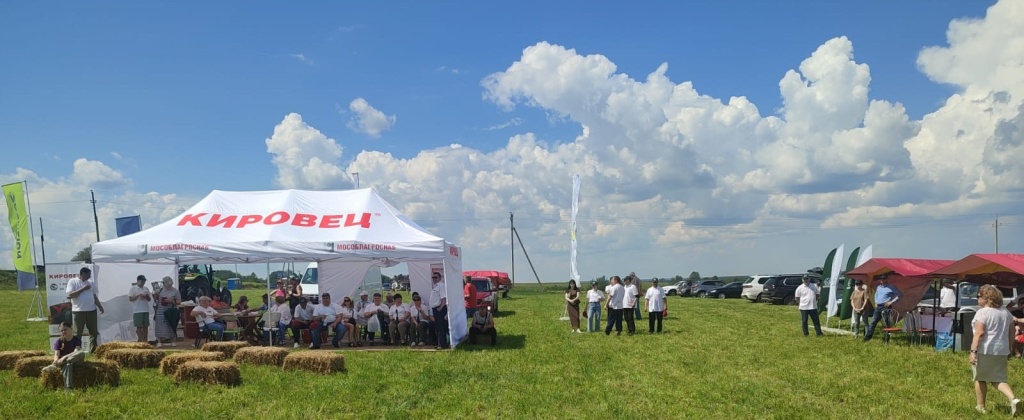 общий вид.jpg