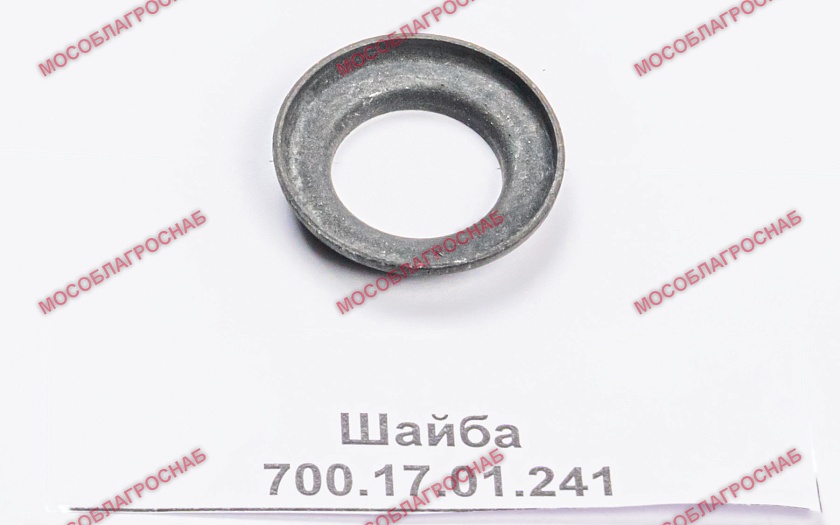 Шайба 700.17.01.241