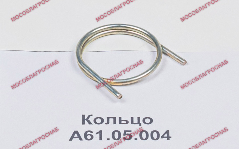 Кольцо / А61.05.004