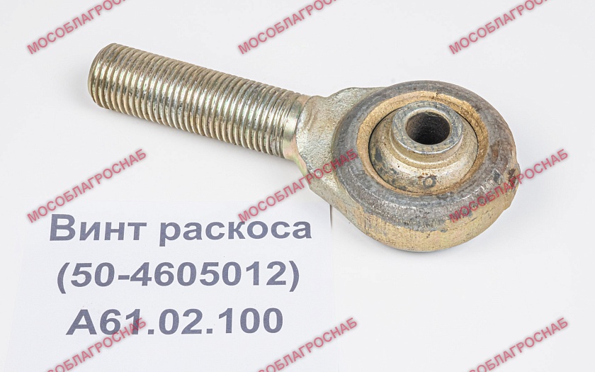 А61.02.100  Винт раскоса (50-4605012)