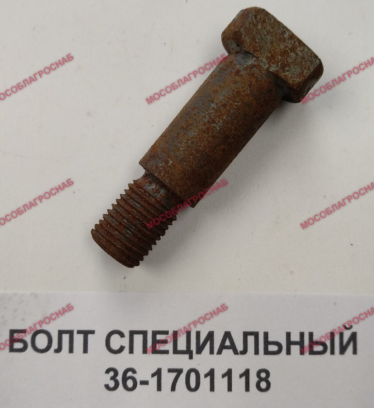 БОЛТ СПЕЦИАЛЬНЫЙ / 36-1701118