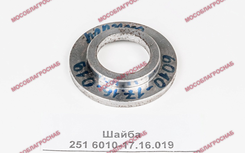 Шайба  251 6010-17.16.019