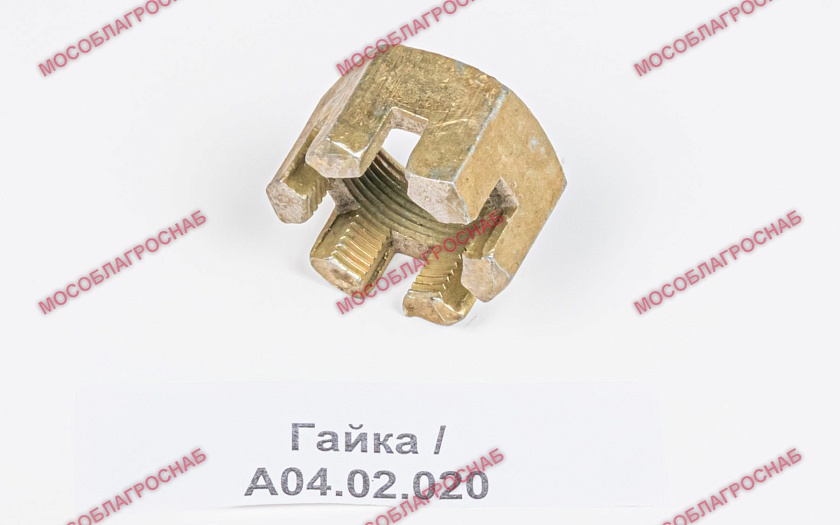 Гайка / А04.02.020