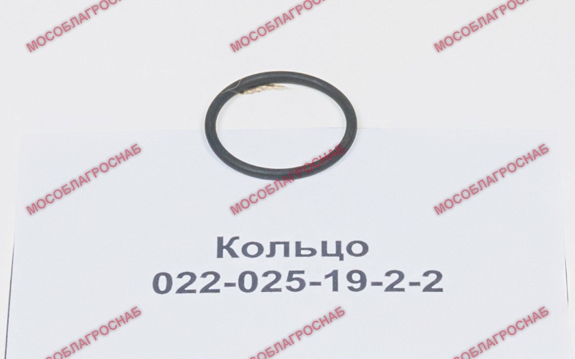 Кольцо / 022-025-19-2-2