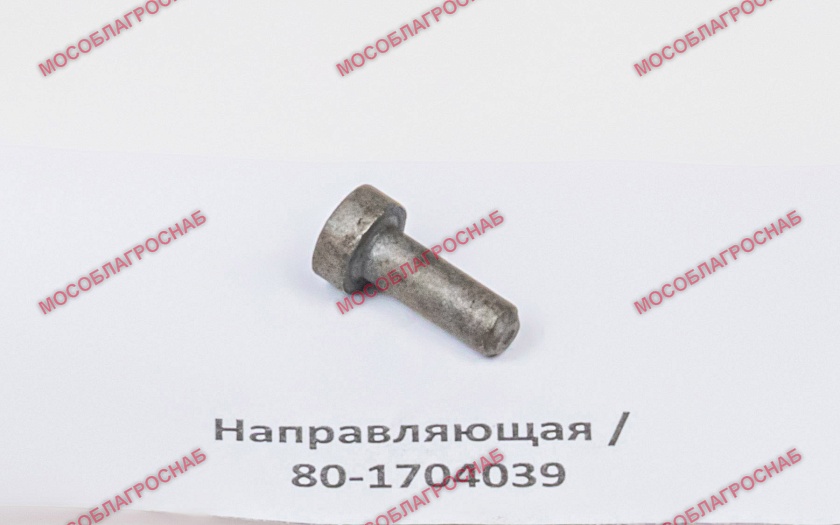 Направляющая / 80-1704039