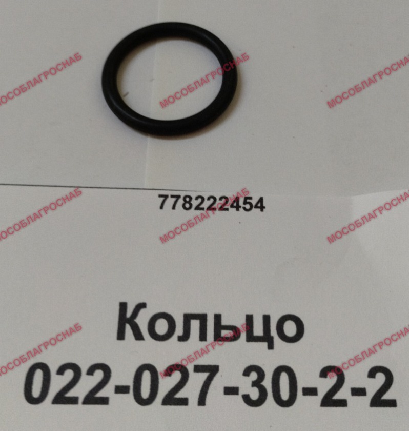 022-027-30-2-2  Кольцо