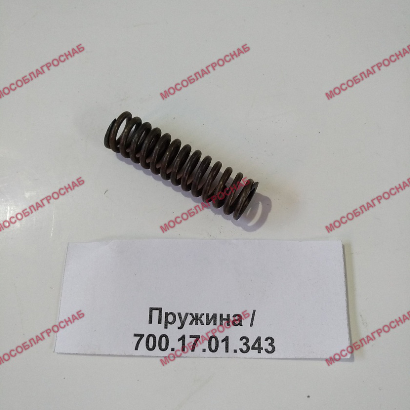 Пружина / 700.17.01.343