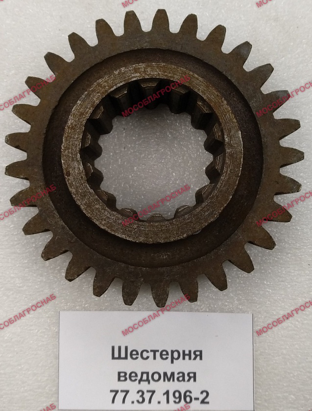 Шестерня ведомая / 77.37.196-2