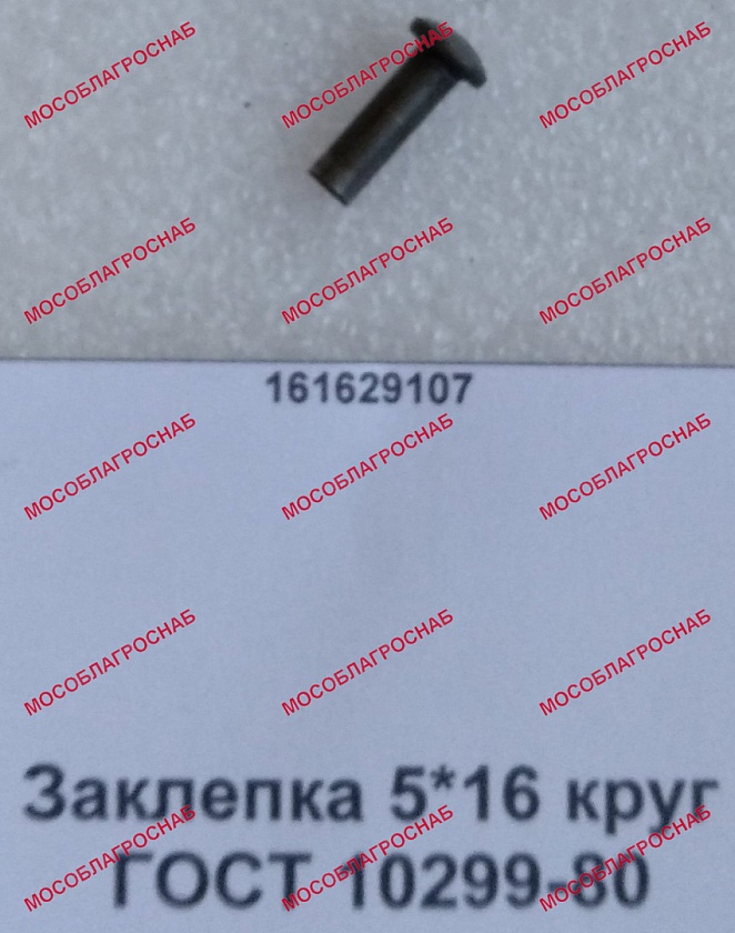 Заклепка / 5*16 круг  ГОСТ 10299-80