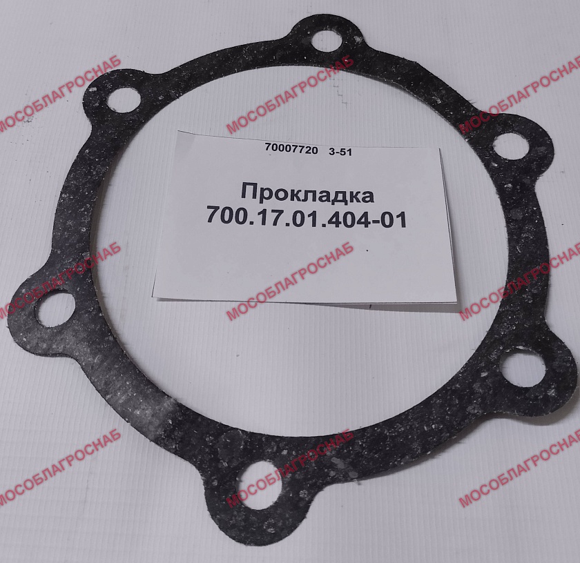 700.17.01.404-01 Прокладка