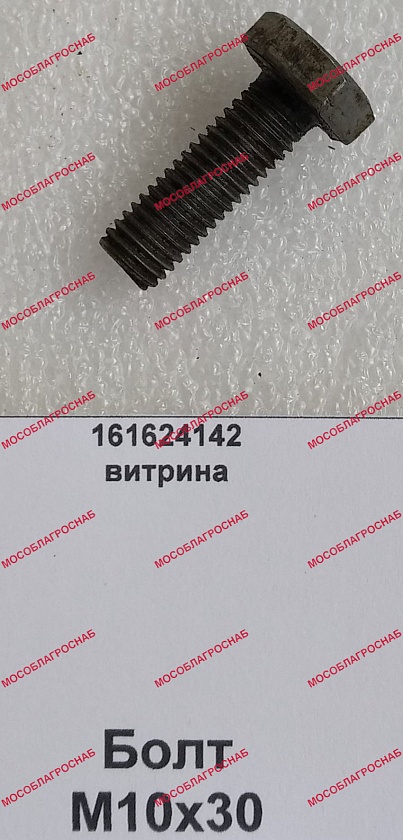 БОЛТ/М10х30