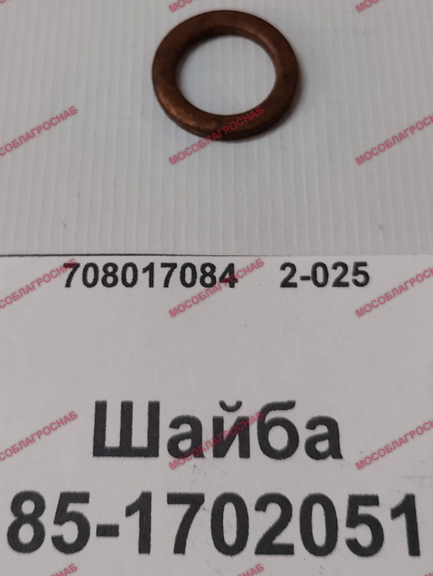 ШАЙБА /85-1702051