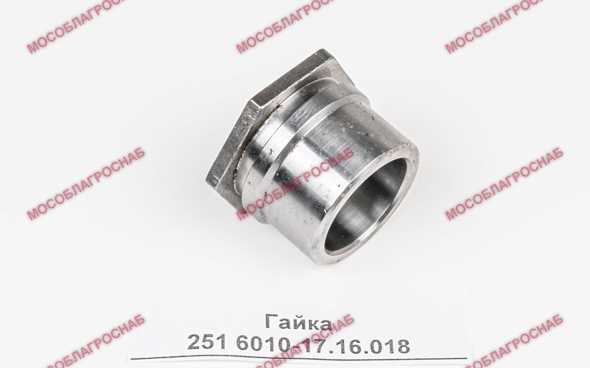 251 6010-17.16.018 Гайка