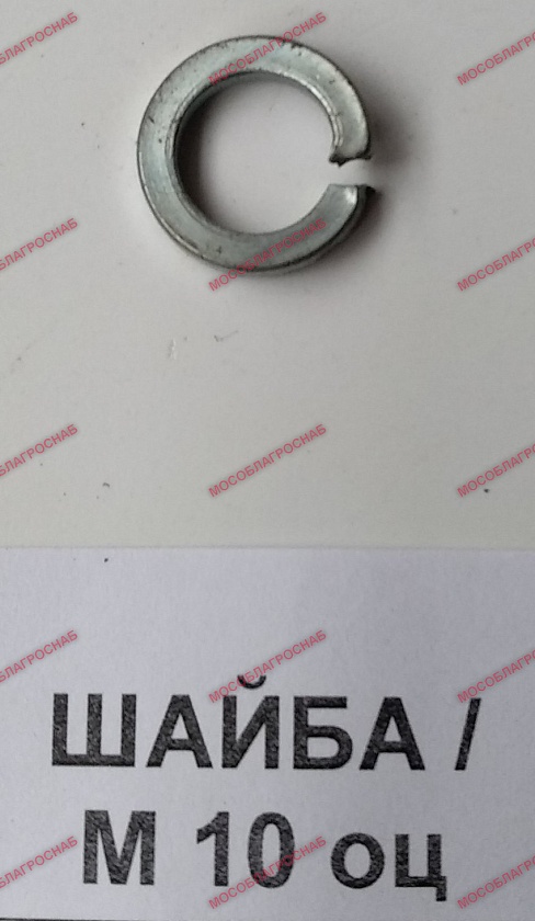 ШАЙБА /М 10 оц