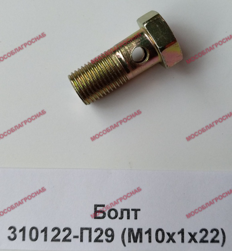 Болт 310122-П29 (М10х1х22)