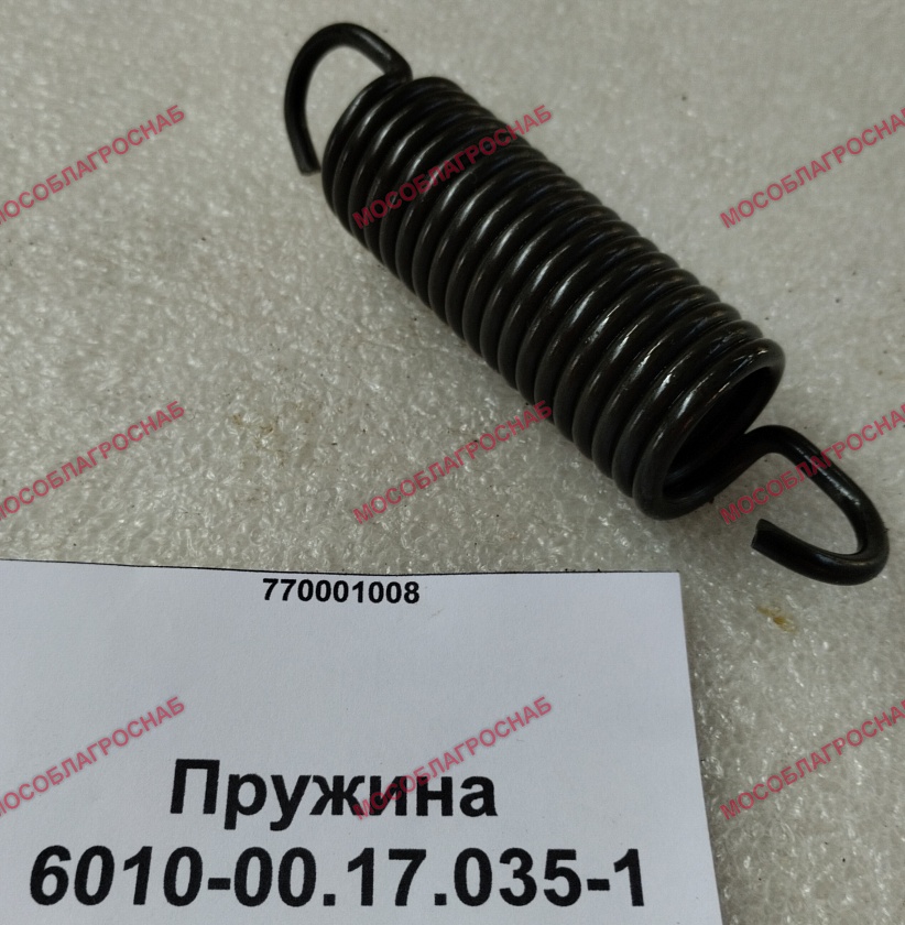 Пружина 6010-00.17.035-1