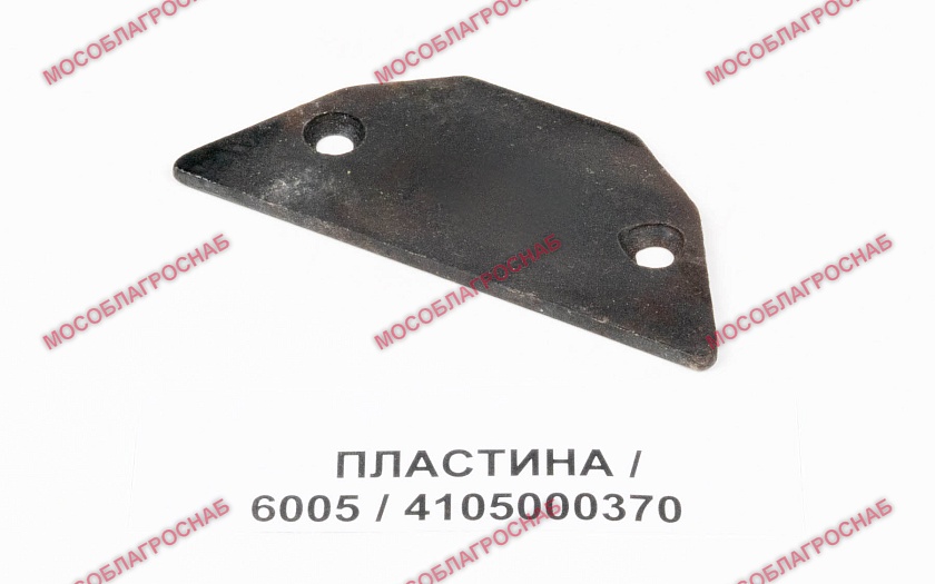 ПЛАСТИНА / 6005/4105000370