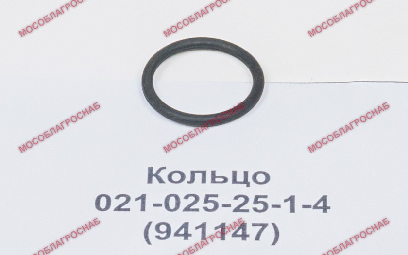 Кольцо / 021-025-25-1-4 (941147)