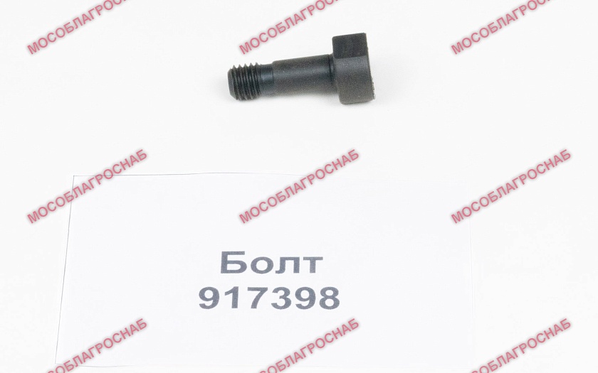 917398 /БОЛТ