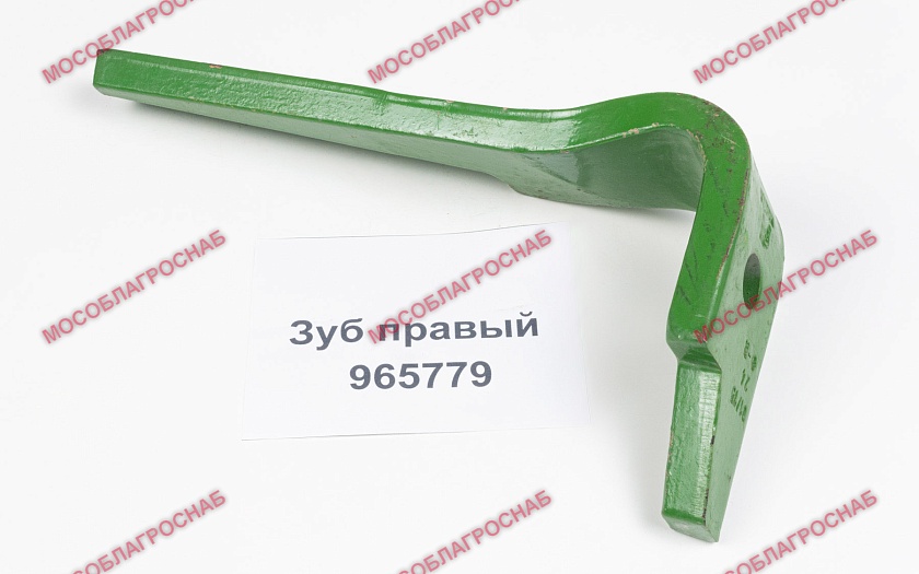 Зуб правый / 965779