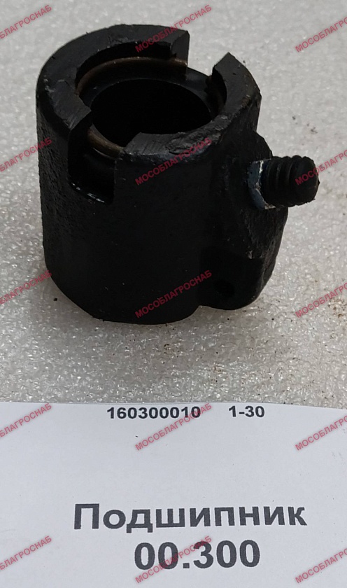 Подшипник / 00.300