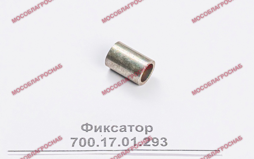 Фиксатор 700.17.01.293