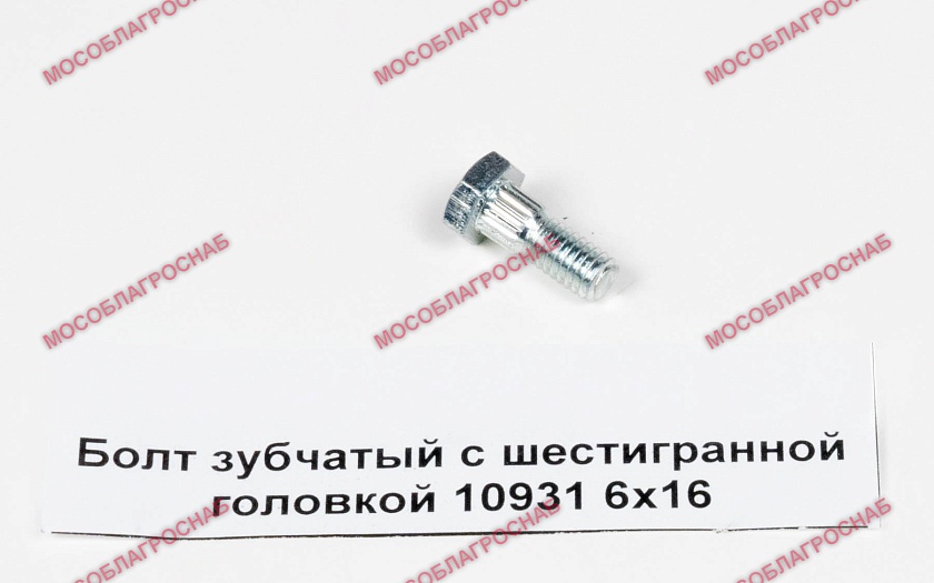 10931 / Болт зубчатый с шестигранной головкой 6Х16