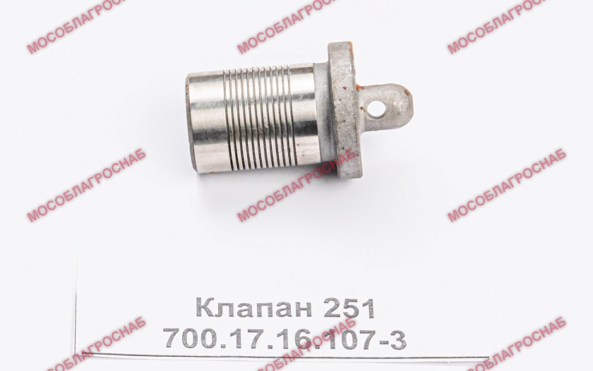 Клапан 251 700.17.16.107-3