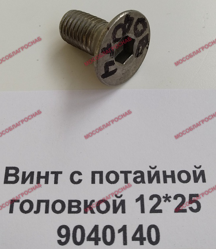 Винт с потайной головкой 12*25 / 9040140