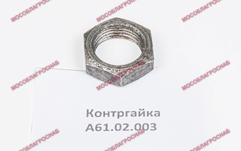 А61.02.003  Контргайка