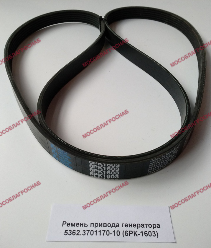 Ремень привода генератора 5362.3701170-10 (6РК-1603)