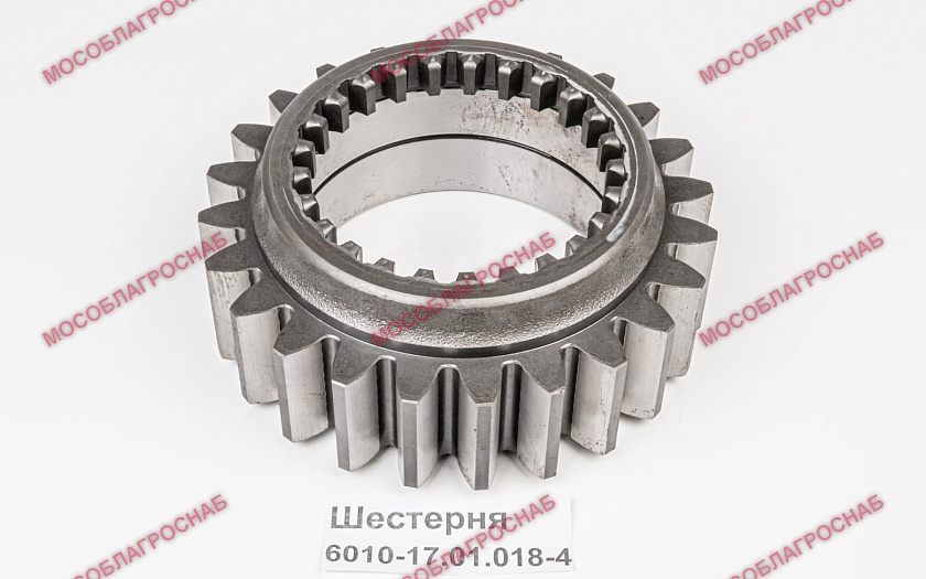Шестерня 221 6010-17.01.018-4