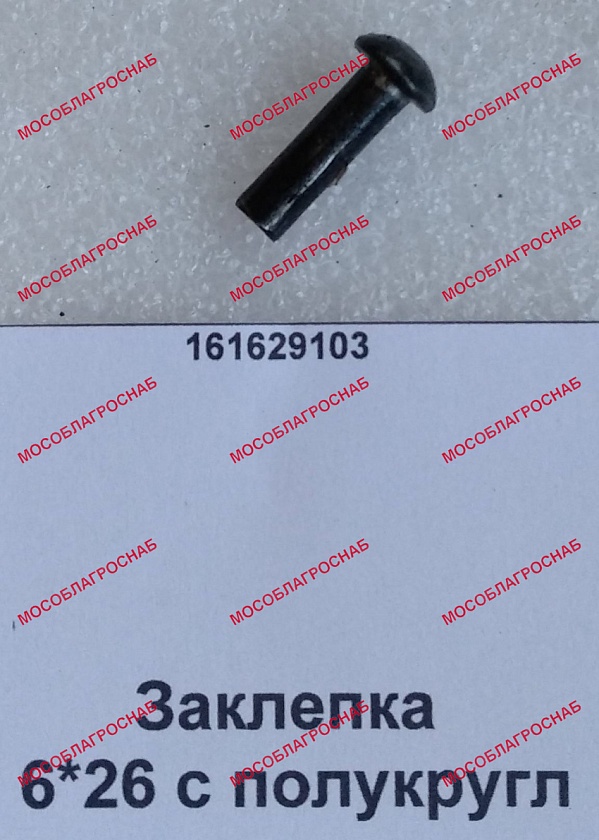 Заклепка / 6*26 с полукругл