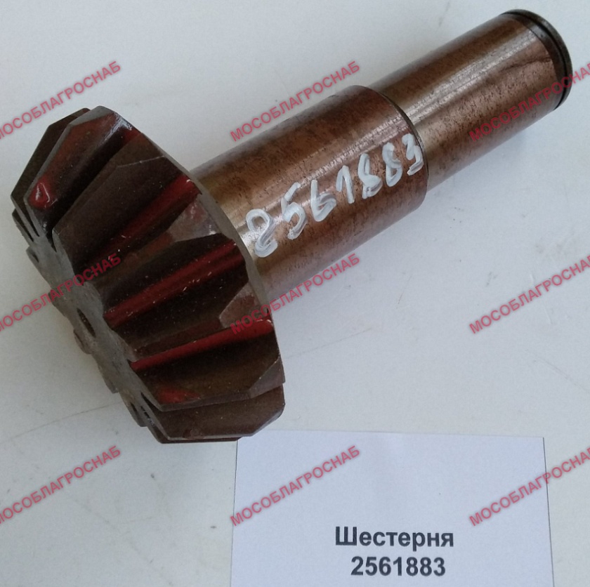 ШЕСТЕРНЯ / 2561883