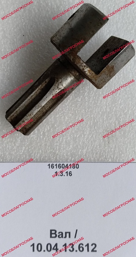 Вал / 10.04.13.612