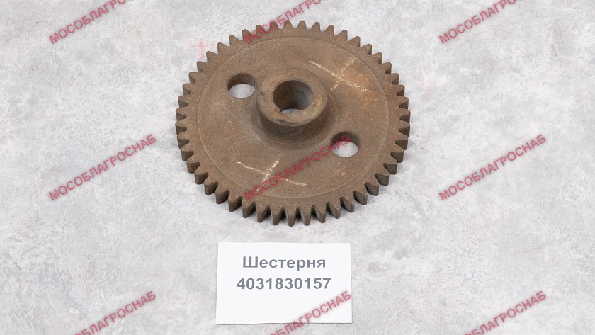 ШЕСТЕРНЯ/4031830157