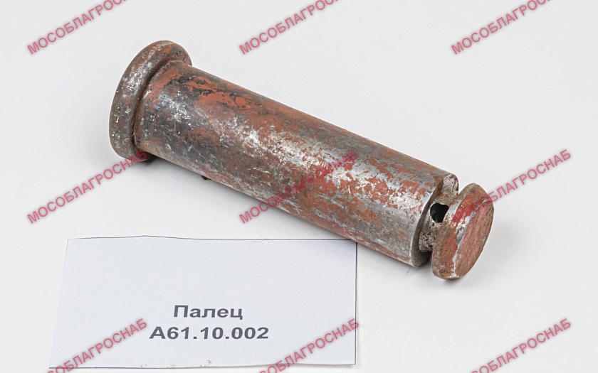 Палец / А61.10.002