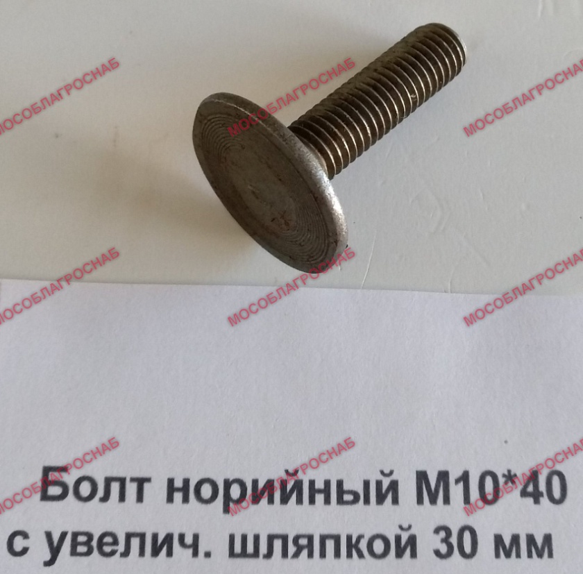 Болт норийный М10*40 с увелич. шляпкой 30 мм